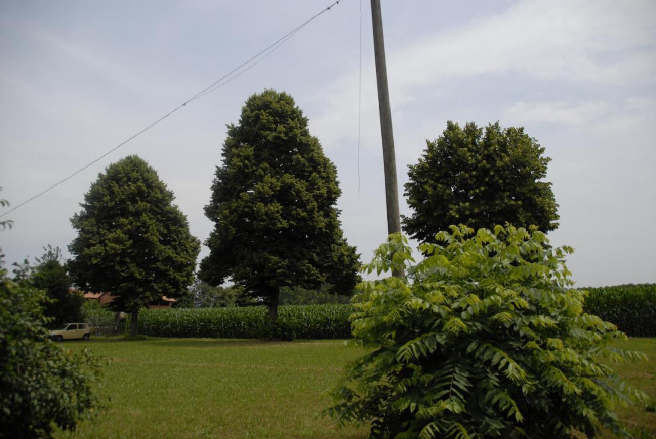Spighe Paglia E Girasole Bed and Breakfast Candia Canavese Eksteriør billede